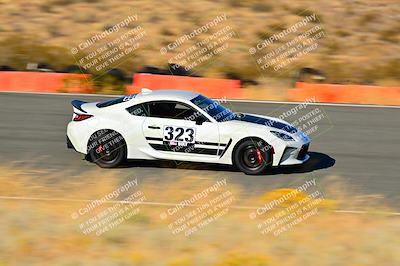 media/Nov-16-2024-Extreme Speed (Sat) [[6587d07cc4]]/Gold Group/Session 3 (The Bowl)/